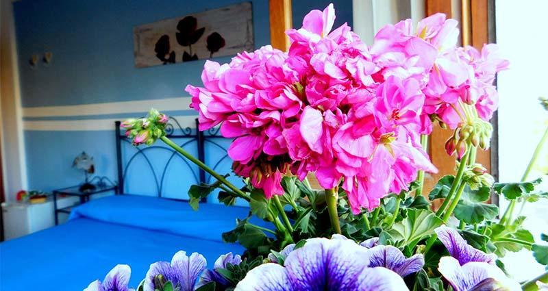 Stella Marina Sea & Sun Bed and Breakfast Cefalù Εξωτερικό φωτογραφία